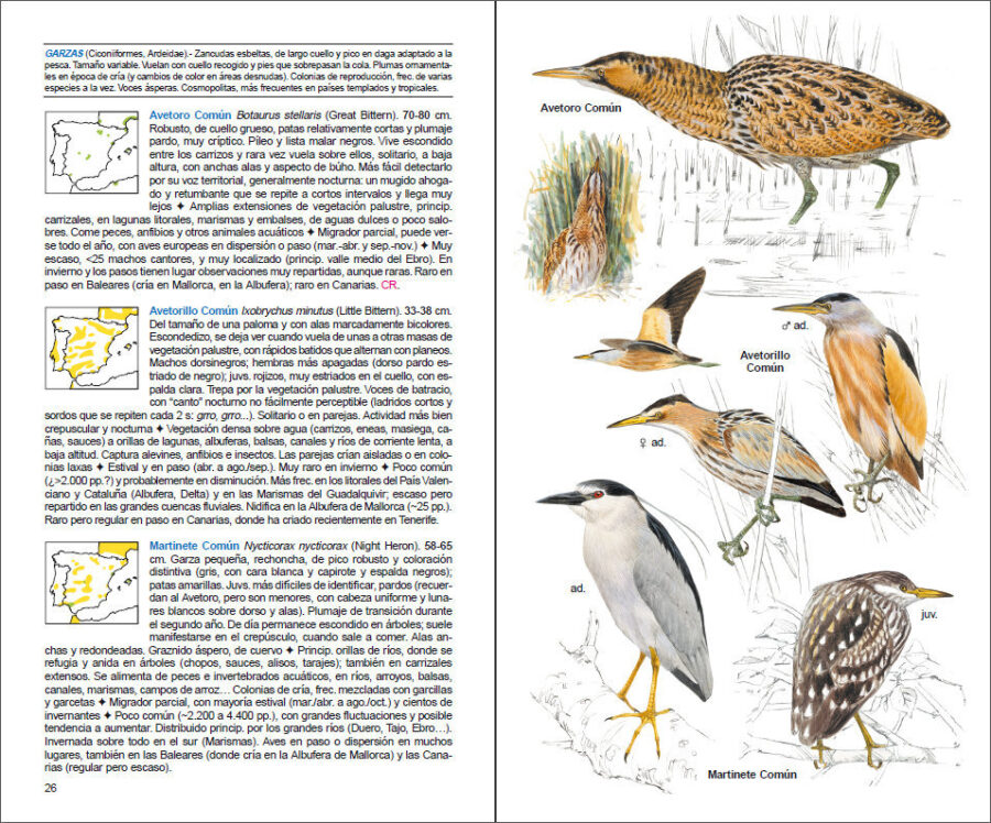 Aves de España sample page